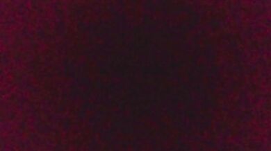 Sunny Rae's Best Moments (PMV)