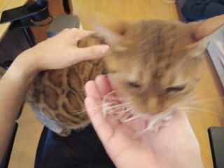 Playing