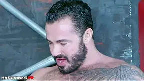 Macho Animal