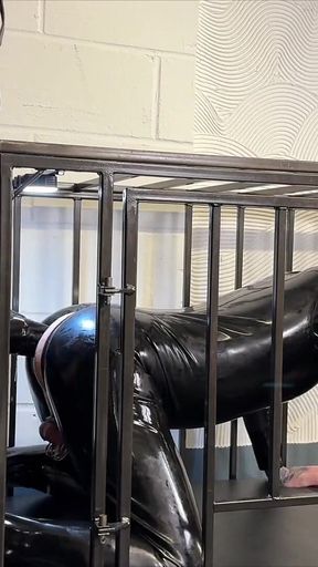 Anal Stretching a Caged Gimp