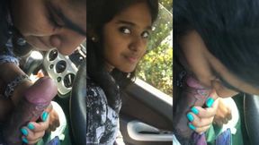 Gazipur er Bhawal National Park a giye garir bhetore noshtami