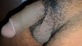 Desi Hot Porn Video in the Jungle