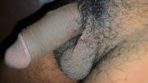 Desi Hot Porn Video in the Jungle