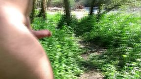 balade nu dans la for&ecirc_ts au bord de l'_eau et masturbation de sexe mou et belle &eacute_rection.