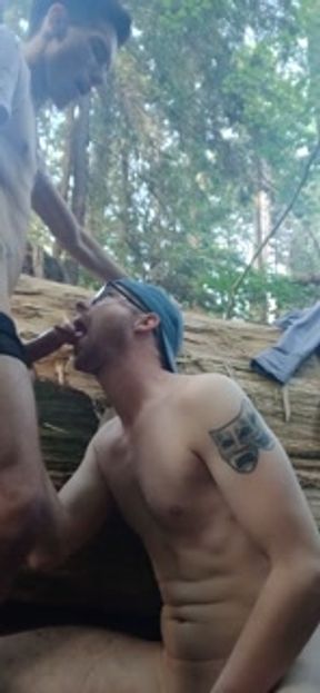 Forest Cum Fun