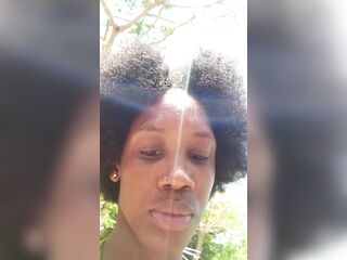 Black Chick Stranded On An Island
