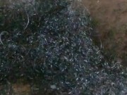 Ooopsie ... I made a lil' mess.