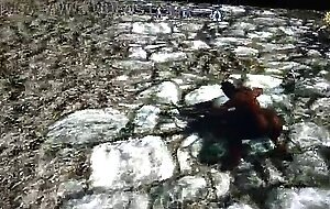 Skyrim: perra paga deuda con caravana kajitah