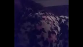 Twitching margerie