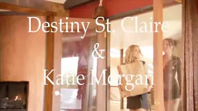 Two babes pleasuring each other in lesbian actions