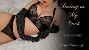 Destiny as My Cuck - Audio Only