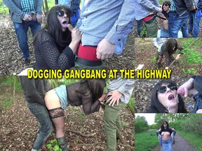 Dogging at the highway and serving plenty of random cocks