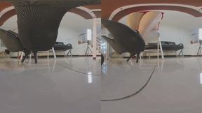 3DVR180 Amy s office humiliated Jamie