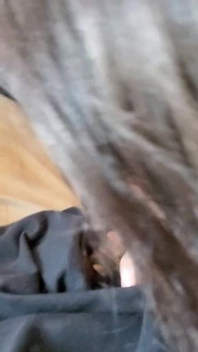 Daniela Duran sucks dick in a public bus and swallows cum from a random stranger