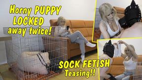 Puppy in heat has to be locked away twice! Role Play by Tranny Dom! Sock Fetish Teasing! FULL CLIP