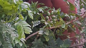 Crente safada colhendo frutas