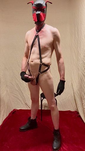 Hot Cock Fun In black leather Cock Thong