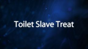 Toilet Slave Treat