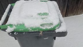 Fress aus meiner Biotonne