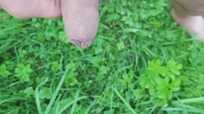 Pissing in garden