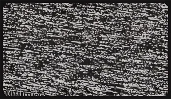 Macho Latino's First Gay Encounter