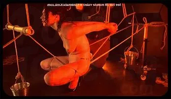 Bella Luxx Genital Clamp & Crotch Rope Bondage Curated videos