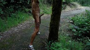 Cock and tree fun
