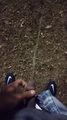 Outdoor Sex, of All Sexualities, Is Now Allowed in My Condominium