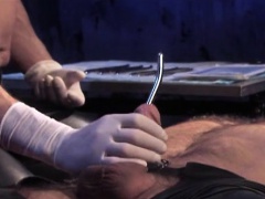 Seductive stallion moans while having his massive cock sounded