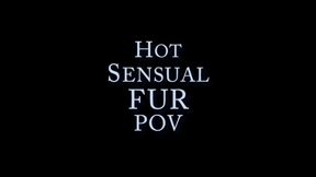 Hot fur POV