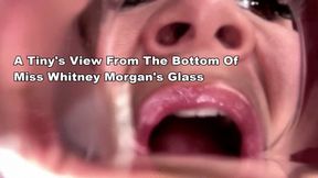 A Tiny’s View From The Bottom Of Miss Whitney Morgan’s Glass - mp4