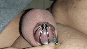 Fat Sissy Pig Tiny Clit 7 Days In Chastity