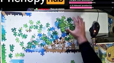 Eevee Puzzle solved in 10 minutes