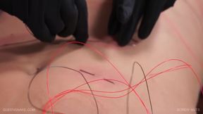 Luna - Screw Nuts - Queen Snake