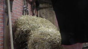 Pussy Jerking off in the Hay