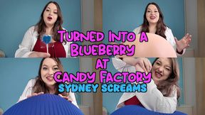 turned into a blueberry at candy factory - you try a special full course dinner lollipop from sydney screams and expand into a giant blueberry ready for juicing - pov blueberry inflation expansion