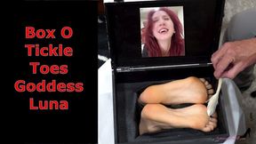 Box O Silly Toes Goddess Luna - POV Foot Tickling With Male Tickling Female Feet WMV