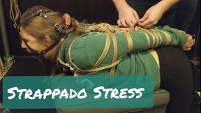 Strappado Stress - 720