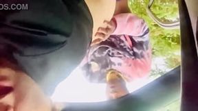 Fucked under the trees &mdash;  bear and cougar on standby