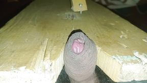 Hairy and Small Penis Needs a Sucking