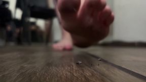 GIANTESS DULCE and the tiny pest