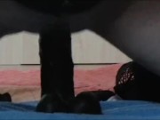 Zicken pussy squirt riding on big Black Dildo