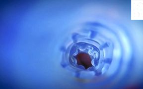 Stream 15 Oct 2025 Kim