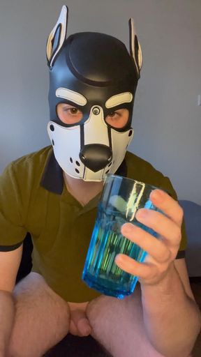 Puppy (Pupplay) drinks his own piss and then his load