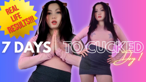 From Husband to Humiliated: 7 Days to Cuckold Day 1