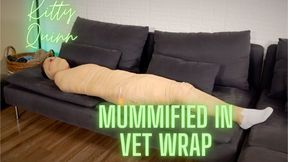 Kitty Quinn Mummified In Vet Wrap HD 720p MP4