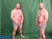 Need a Co-Star? Let's Collaborate via Green Screen