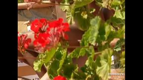 Rosanna Mendes, Beautiful Mulata Dp'_ed Under the Sun