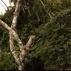 My Asian Girlfriend - (episode #03)