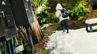 [Niigata Onsen of Snow and Rabbit with Handsdo]